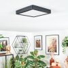 Finsrud Luminaire de salle de bain, Plafonnier, Panel LED Noir, 1 lumière Finsrud Luminaire de salle de bain, Plafonnier, Panel LED Noir, 1 lumière