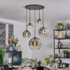 Ripoll Suspension, Boule lumineuse, Suspension Clair, Fumé, 5 lumières