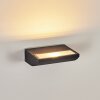 Damor Lampe murale d´extérieur, Applique murale LED Noir, 1 lumière