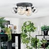 Chehalis Plafonnier, Boule lumineuse Ambre, Clair, Fumé, 4 lumières