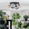 Chehalis Plafonnier, Boule lumineuse Ambre, Clair, Fumé, 4 lumières