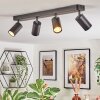Foren Plafonnier, Spot de plafond LED Noir, 4 lumières, Changeur de couleurs
