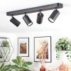 Foren Plafonnier, Spot de plafond LED Noir, 4 lumières, Changeur de couleurs