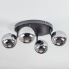 Chehalis Plafonnier, Boule lumineuse Chrome, Fumé, 4 lumières
