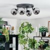 Chehalis Plafonnier, Boule lumineuse Chrome, Fumé, 4 lumières