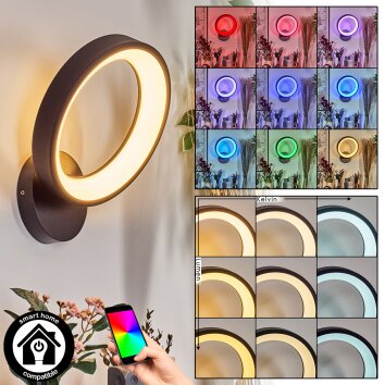 Delor Applique murale LED Noir, 1 lumière, Changeur de couleurs Delor Applique murale LED Noir, 1 lumière, Changeur de couleurs