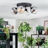 Gastor Plafonnier, Boule lumineuse Ambre, Clair, Fumé, 4 lumières