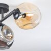 Ripoll Plafonnier, Boule lumineuse Ambre, Fumé, 3 lumières