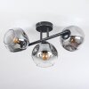 Ripoll Plafonnier, Boule lumineuse Clair, Fumé, 3 lumières