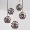 Ripoll Suspension, Boule lumineuse, Suspension Or, Noir, 5 lumières
