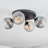 Ripoll Plafonnier, Boule lumineuse Ambre, Clair, Fumé, 4 lumières