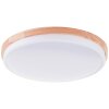 Baarlo Plafonnier Luminaires Brilliant LED Blanc, 1 lumière