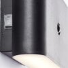 Xino Lampe murale d´extérieur Luminaires Brilliant LED Noir, 1 lumière
