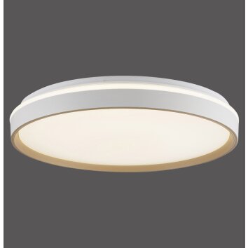 MIO Plafonnier Luminaires Paul Neuhaus LED Sable, 1 lumière, Télécommandes