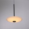 ELIPSA Suspension Luminaires Paul Neuhaus LED Noir, 1 lumière