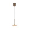 ELIPSA Suspension Luminaires Paul Neuhaus LED Bronze, 1 lumière
