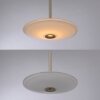 ELIPSA Suspension Luminaires Paul Neuhaus LED Bronze, 1 lumière