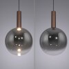 BOWL Suspension Luminaires Paul Neuhaus LED Brun, 1 lumière