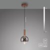 BOWL Suspension Luminaires Paul Neuhaus LED Brun, 1 lumière