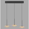ELIPSA Suspension Luminaires Paul Neuhaus LED Noir, 3 lumières