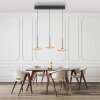 ELIPSA Suspension Luminaires Paul Neuhaus LED Noir, 3 lumières