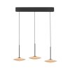 ELIPSA Suspension Luminaires Paul Neuhaus LED Noir, 3 lumières