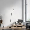 BENTE Lampadaire Luminaires Paul Neuhaus LED Noir, 1 lumière