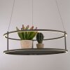 CONNI Suspension Luminaires Paul Neuhaus LED Noir, 2 lumières