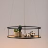 CONNI Suspension Luminaires Paul Neuhaus LED Noir, 2 lumières