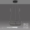 CONNI Suspension Luminaires Paul Neuhaus LED Noir, 2 lumières