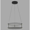 CONTURA Suspension Luminaires Paul Neuhaus LED Noir, 2 lumières