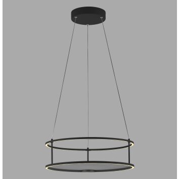 CONNI Suspension Luminaires Paul Neuhaus LED Noir, 2 lumières