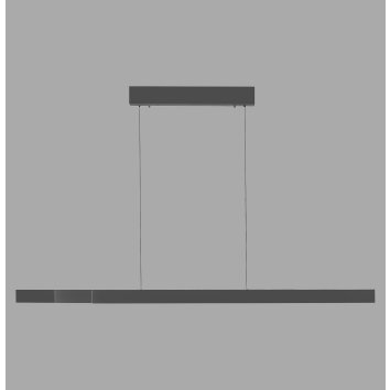 Square Suspension Luminaires Paul Neuhaus LED Anthracite, 6 lumières