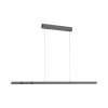 Lift Suspension Luminaires Paul Neuhaus LED Anthracite, 3 lumières