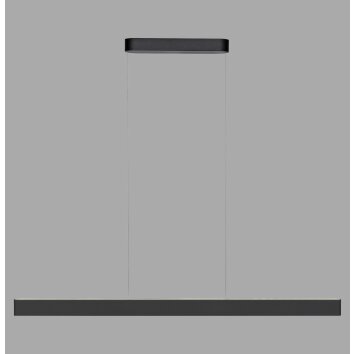 Q-STRETTO Suspension Paul Neuhaus Q-Serie LED Noir, 2 lumières, Télécommandes