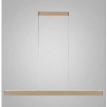 Q-STRETTO Suspension Paul Neuhaus Q-Serie LED Bronze, 2 lumières, Télécommandes