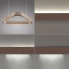 Q-STRETTO Suspension Paul Neuhaus Q-Serie LED Bronze, 2 lumières, Télécommandes