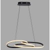 TWIST Suspension Luminaires Paul Neuhaus LED Noir, 1 lumière