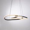 TWIST Suspension Luminaires Paul Neuhaus LED Noir, 1 lumière