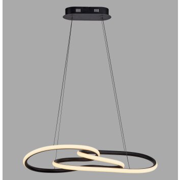 TWIST Suspension Luminaires Paul Neuhaus LED Noir, 1 lumière