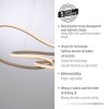 TWIST Suspension Luminaires Paul Neuhaus LED Sable, 1 lumière