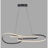 TWIST Suspension Luminaires Paul Neuhaus LED Noir, 1 lumière