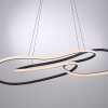 TWIST Suspension Luminaires Paul Neuhaus LED Noir, 1 lumière