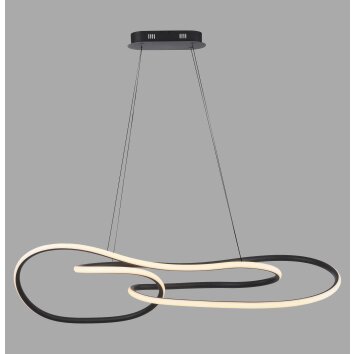 TWIST Suspension Luminaires Paul Neuhaus LED Noir, 1 lumière