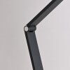 SAMSKY Lampadaire Luminaires Paul Neuhaus LED Gris, 1 lumière