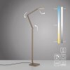 SAMSKY Lampadaire Luminaires Paul Neuhaus LED Bronze, 1 lumière
