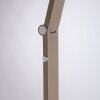SAMSKY Lampadaire Luminaires Paul Neuhaus LED Bronze, 1 lumière