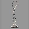TWIST Lampadaire Luminaires Paul Neuhaus LED Noir, 1 lumière