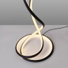TWIST Lampadaire Luminaires Paul Neuhaus LED Noir, 1 lumière