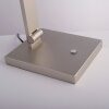 SAMSKY Lampe à poser Luminaires Paul Neuhaus LED Argenté, 1 lumière